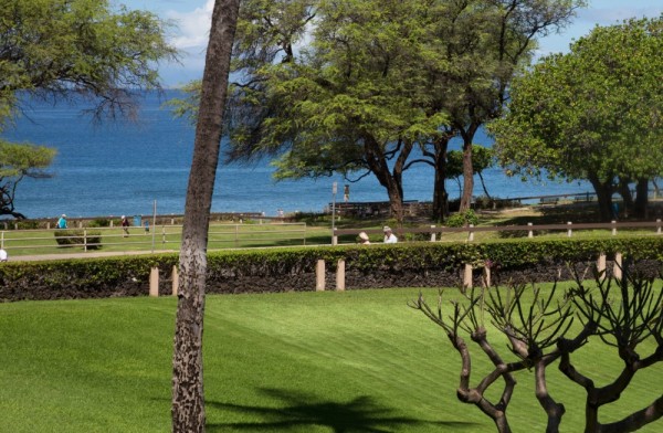 Kamaole Sands #10-207